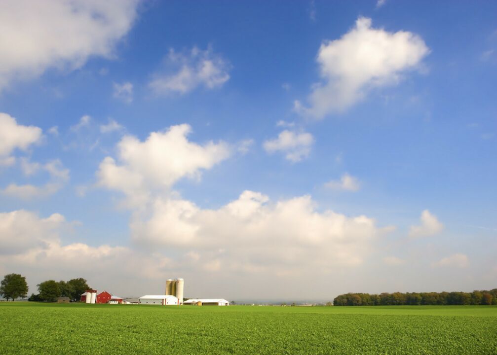 #51. Ohio
